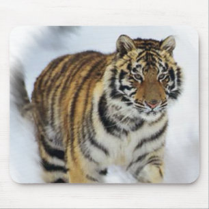Alfombrilla De Ratón Tiger Aovers Art