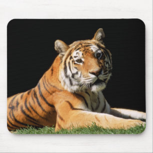 Alfombrilla De Ratón Tiger Closeup