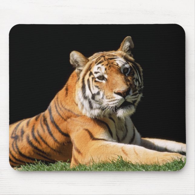 Alfombrilla De Ratón Tiger Closeup (Frente)