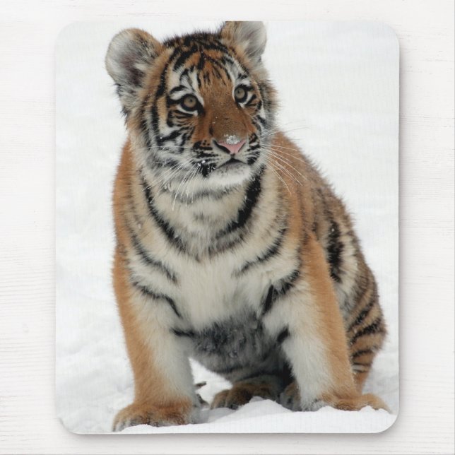 Alfombrilla De Ratón Tiger Cub in the Snow Photo (Frente)