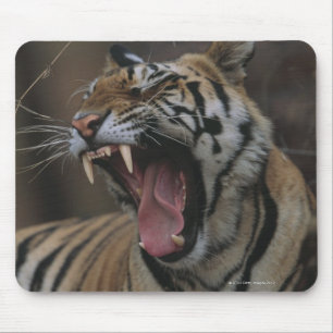 Alfombrilla De Ratón Tiger Cub Yawning