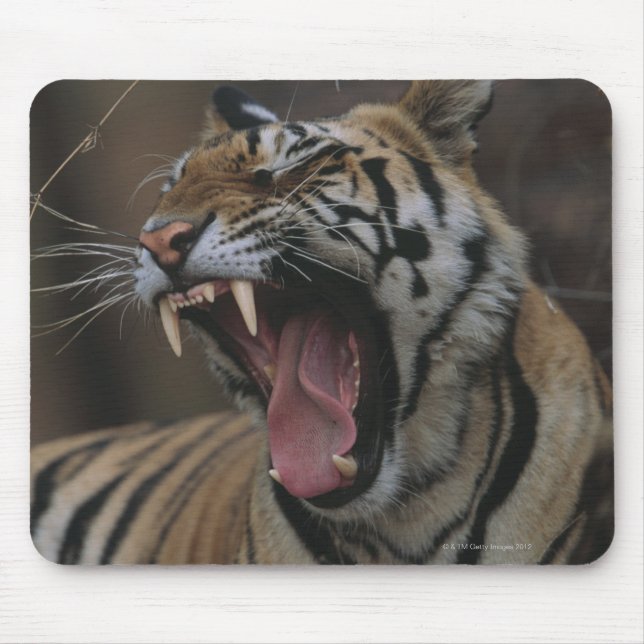 Alfombrilla De Ratón Tiger Cub Yawning (Frente)