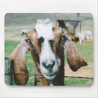 Alfombrilla De Ratón tigger