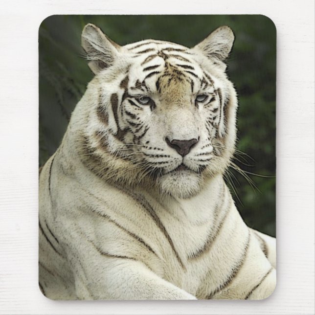 Alfombrilla De Ratón tigre (Frente)