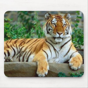 Alfombrilla De Ratón Tigre