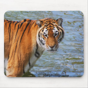 Alfombrilla De Ratón Tigre