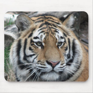Alfombrilla De Ratón Tigre