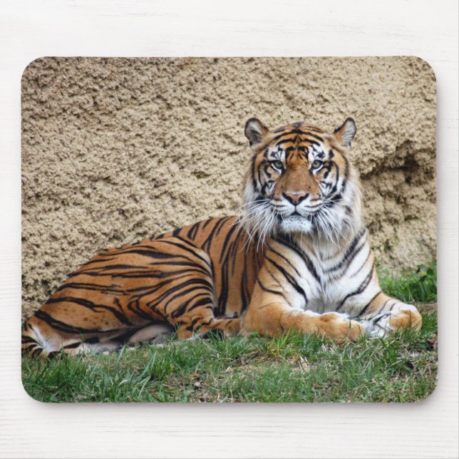 Alfombrilla De Ratón tigre 7 del sumatran (Frente)