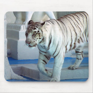 Alfombrilla De Ratón Tigre blanco