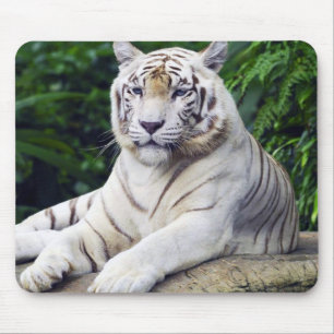 Alfombrilla De Ratón Tigre blanco 1 Mousepad