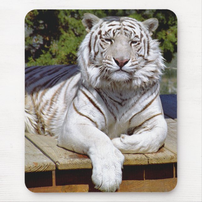 Alfombrilla De Ratón Tigre blanco 9 Mousepad (Frente)