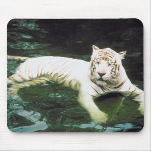 Alfombrilla De Ratón Tigre blanco que nada pacífico