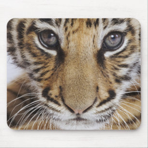 Alfombrilla De Ratón Tigre Cub