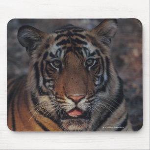 Alfombrilla De Ratón Tigre Cub de Bengala