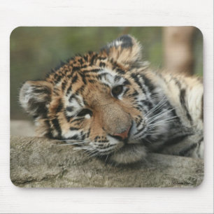 Alfombrilla De Ratón Tigre de bebé el dormir