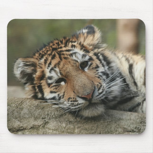 Alfombrilla De Ratón Tigre de bebé el dormir (Frente)