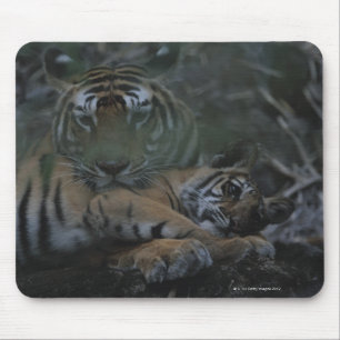 Alfombrilla De Ratón Tigre de Bengala de la madre con Cub