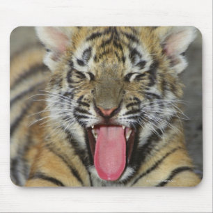 Alfombrilla De Ratón Tigre de Bengala que bosteza