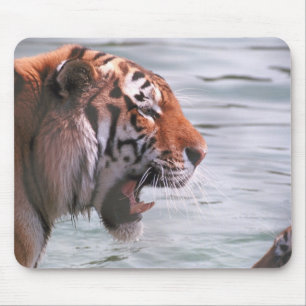 Alfombrilla De Ratón Tigre de bostezo en agua