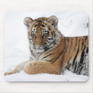 Alfombrilla De Ratón Tigre de invierno