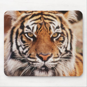 Alfombrilla De Ratón Tigre de Sumatra