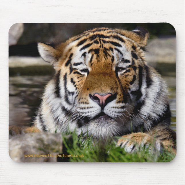 Alfombrilla de ratón Tigre de Zambar (Frente)