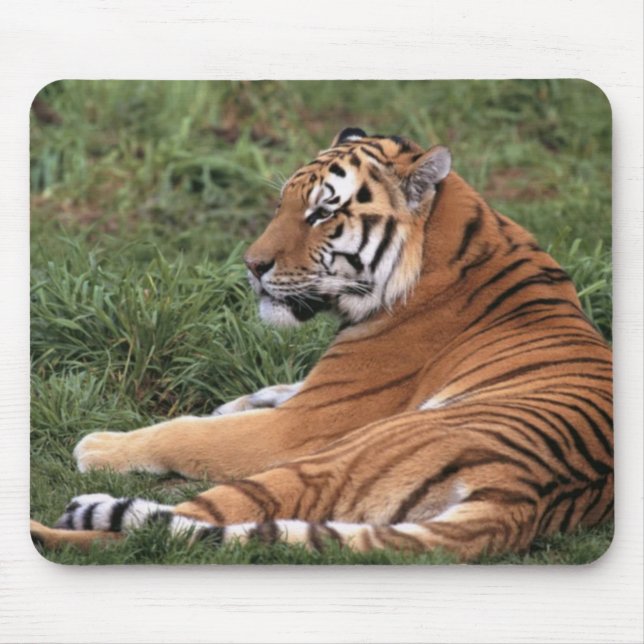 Alfombrilla De Ratón Tigre descansando en Mousepad de hierba (Frente)