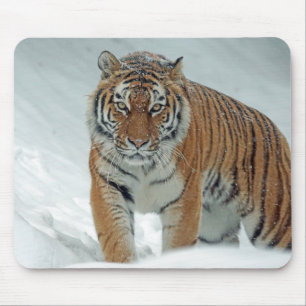 Alfombrilla De Ratón Tigre en la nieve