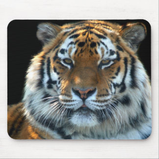 Alfombrilla De Ratón Tigre majestuoso de Sumatran