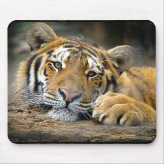 Alfombrilla De Ratón Tigre Mousepad