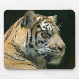 Alfombrilla De Ratón Tigre Mousepad de Sumatran
