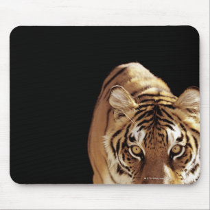 Alfombrilla De Ratón Tigre (Panthera el Tigris)