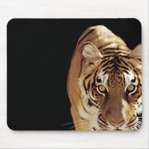 Alfombrilla De Ratón Tigre (Panthera el Tigris)