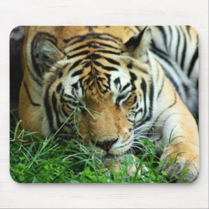 Alfombrilla De Ratón Tigre que duerme en la hierba Mousepad