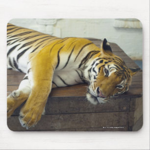 Alfombrilla De Ratón Tigre, Samui, Tailandia