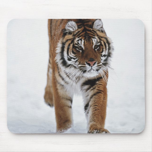 Alfombrilla De Ratón Tigre Siberiano En Nieve (Frente)