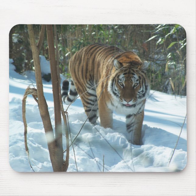 Alfombrilla De Ratón Tigre siberiano que camina en la nieve Mousepad (Frente)