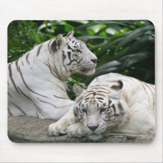 Alfombrilla De Ratón tigres blancos
