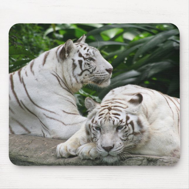 Alfombrilla De Ratón tigres blancos (Frente)