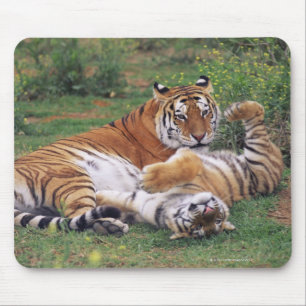 Alfombrilla De Ratón Tigres de Bengala jugando