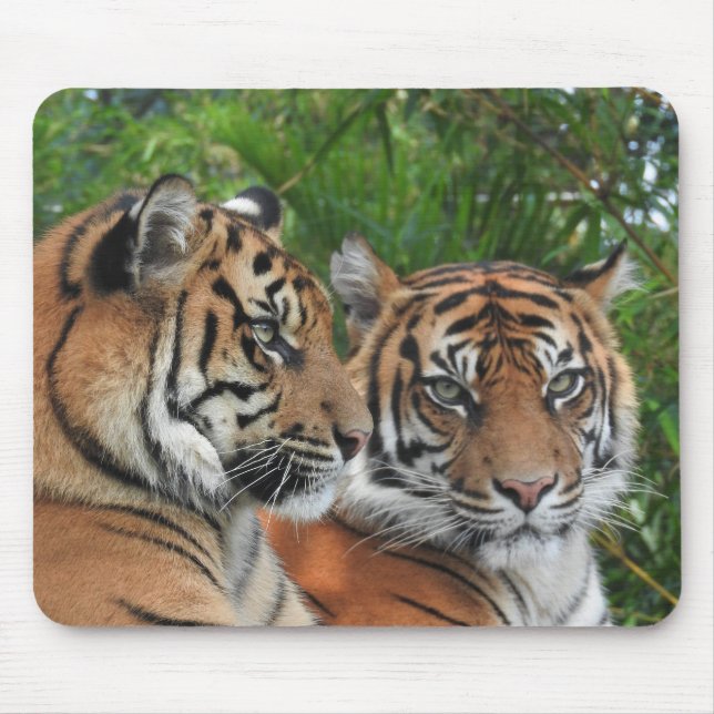 Alfombrilla De Ratón Tigres de Sumatra (Frente)