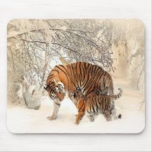 tigres en la nieve
