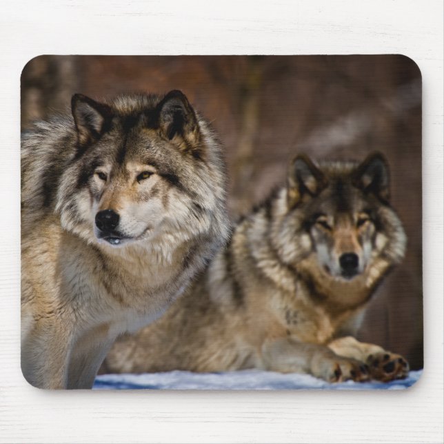 Alfombrilla De Ratón Timber Wolf Mouse Pad (Frente)