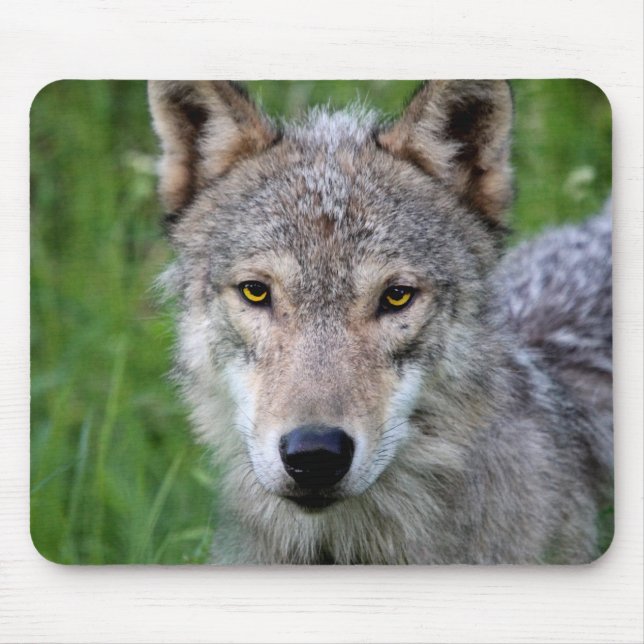 Alfombrilla De Ratón Timber Wolf Mouse Pad (Frente)