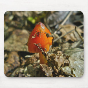 Alfombrilla De Ratón Tiny Amberina Cone Cap Mushroom Mousepad
