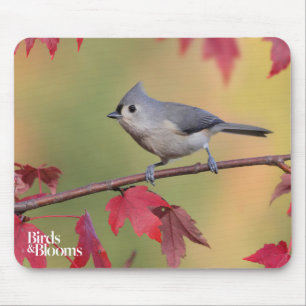 Alfombrilla De Ratón Titmice copetudos