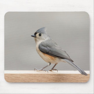 Alfombrilla De Ratón Titmouse copetudo