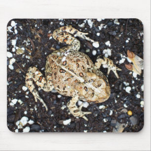 Alfombrilla De Ratón Toad