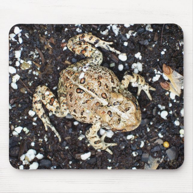 Alfombrilla De Ratón Toad (Frente)