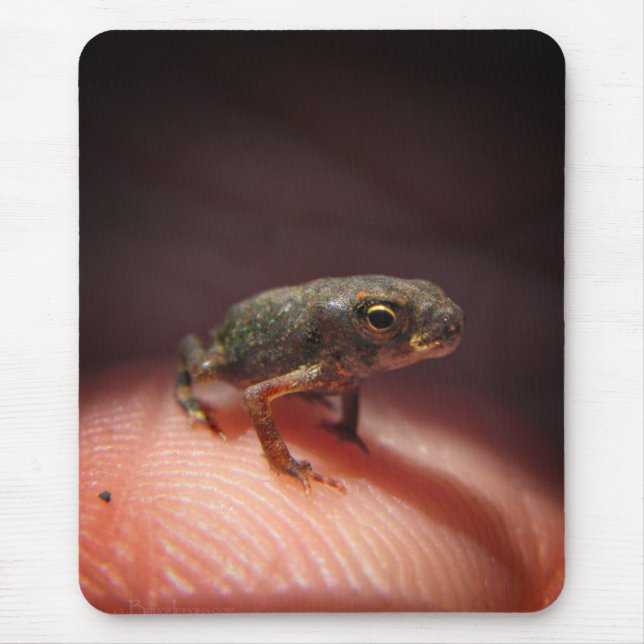 Alfombrilla De Ratón Toad de bebé pequeño/Tadpole (Frente)